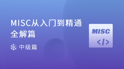 MISC從入門(mén)到精通全解篇